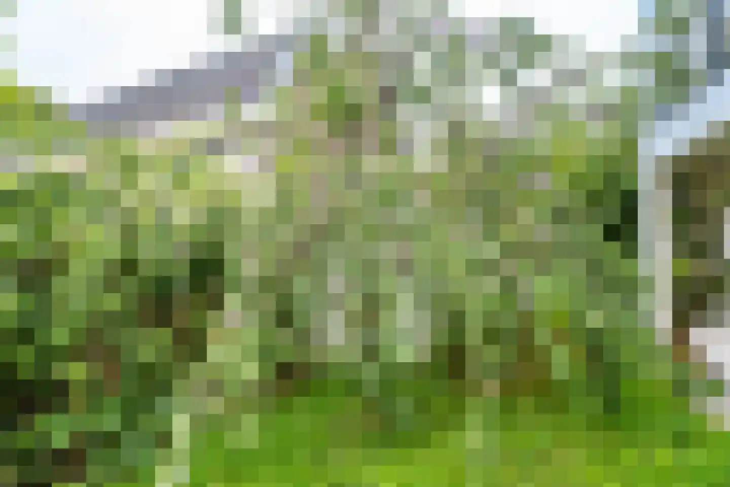 Albers Pistoriusweg 27 c Houten thumbnail 39