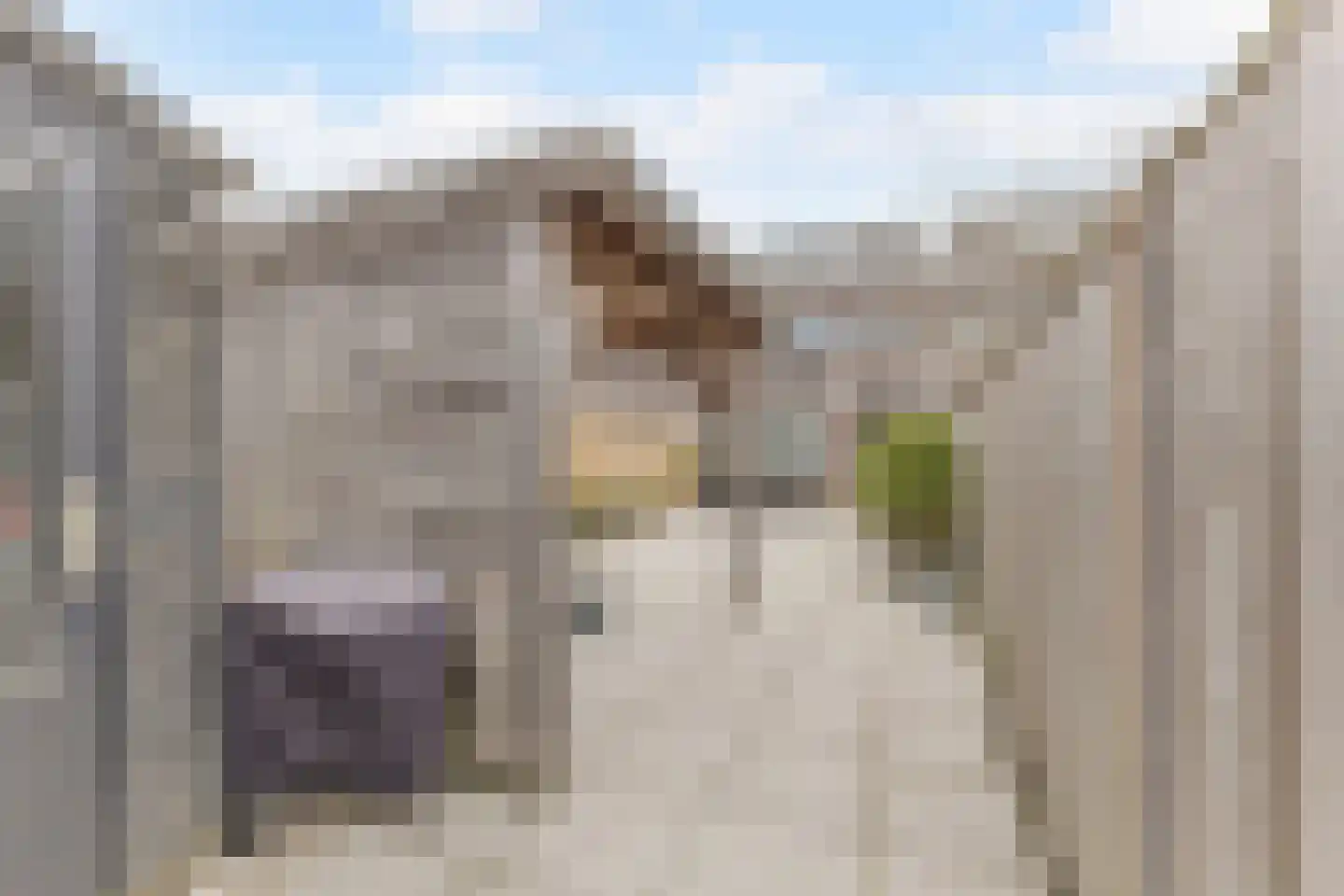 Albers Weer 55 Assendelft thumbnail 13