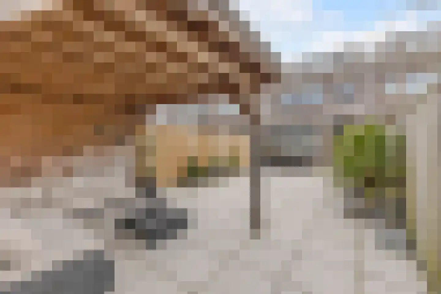 Albers Weer 55 Assendelft thumbnail 14