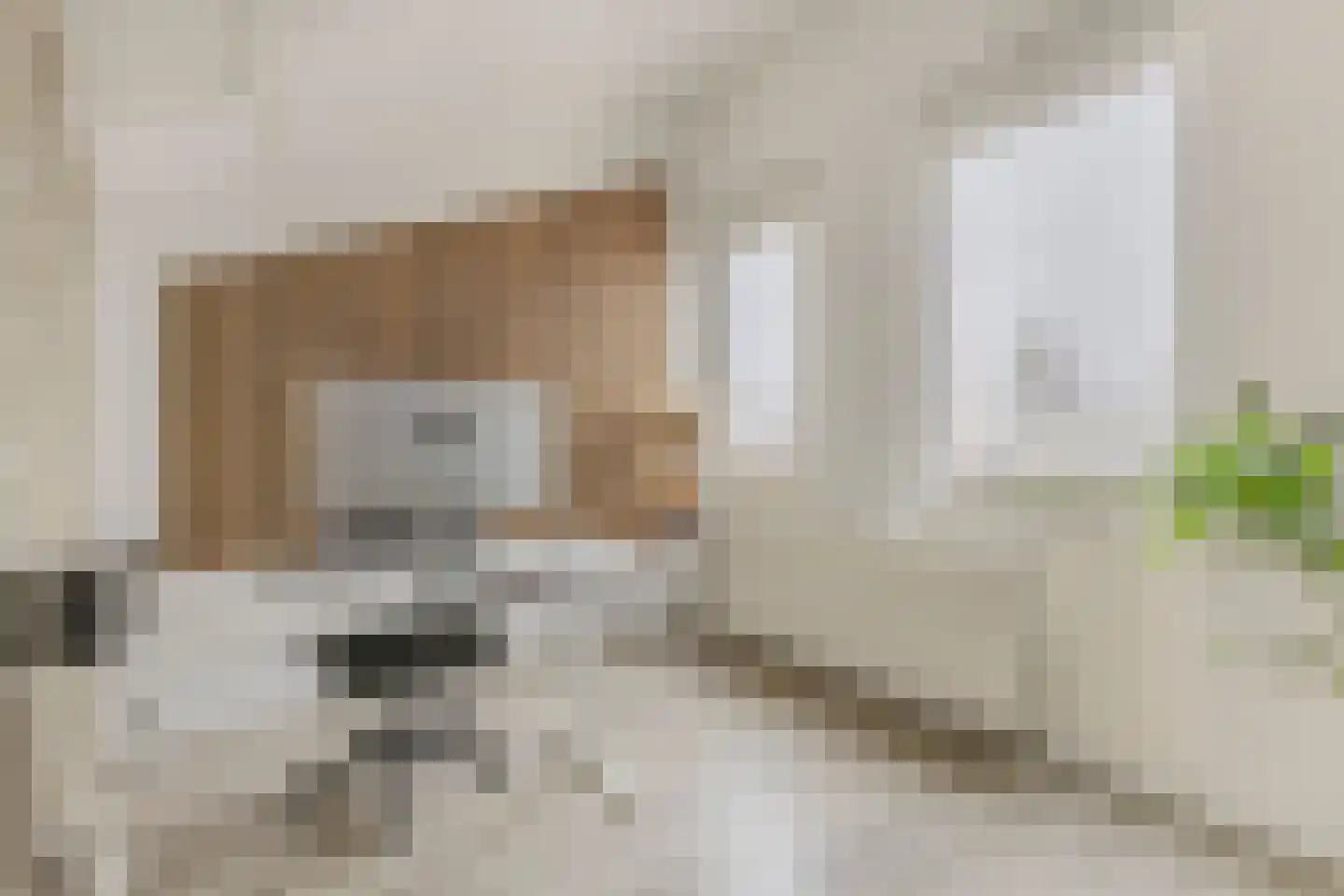 Albers Weer 55 Assendelft thumbnail 27