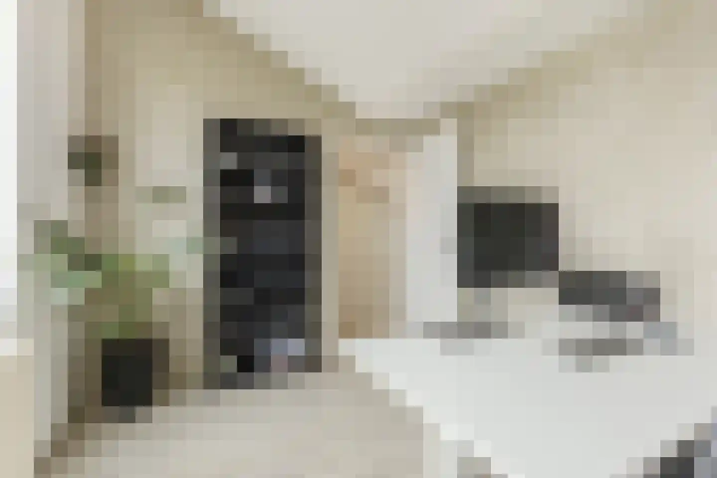 Albers Weer 55 Assendelft thumbnail 28