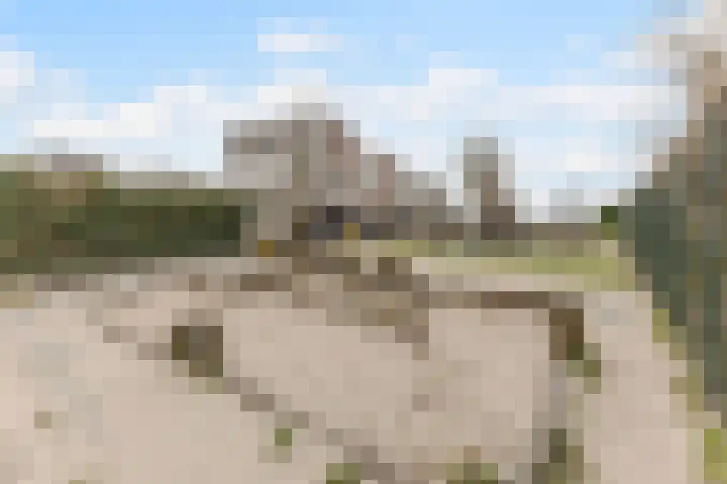 Albers Weer 55 Assendelft thumbnail 31