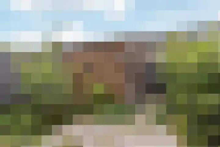 Albers Weer 9 Assendelft thumbnail 10