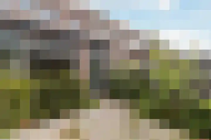 Albers Weer 9 Assendelft thumbnail 11