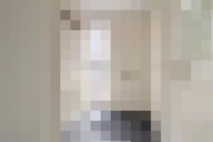 Albers Weer 9 Assendelft thumbnail 13