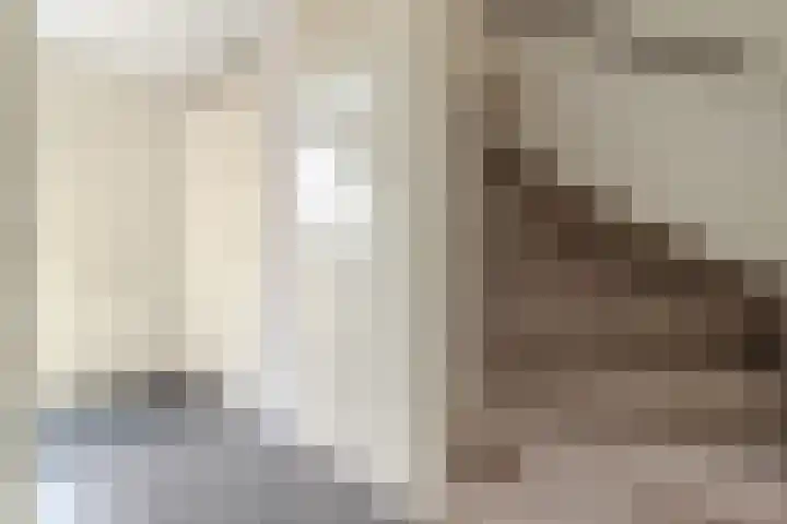 Albers Weer 9 Assendelft thumbnail 14