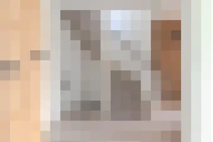 Albers Weer 9 Assendelft thumbnail 16