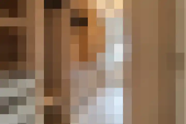 Albers Weer 9 Assendelft thumbnail 17