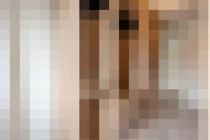Albers Weer 9 Assendelft thumbnail 18