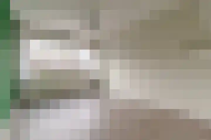 Albers Weer 9 Assendelft thumbnail 19