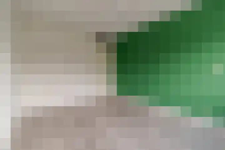 Albers Weer 9 Assendelft thumbnail 20