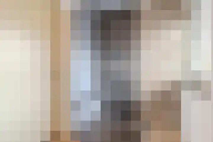 Albers Weer 9 Assendelft thumbnail 24
