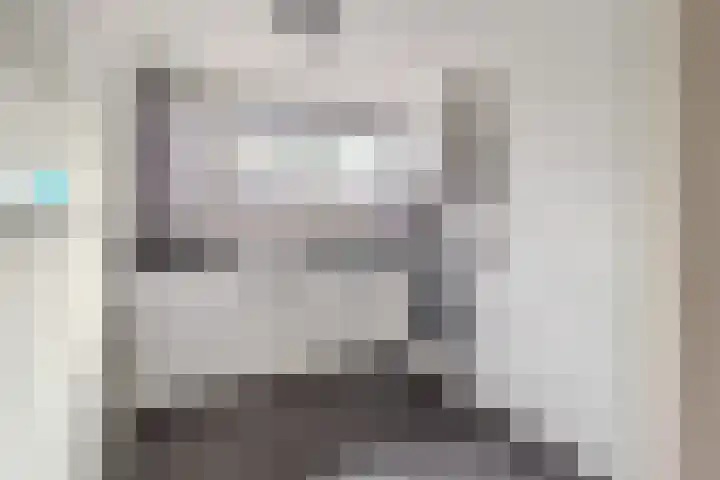 Albers Weer 9 Assendelft thumbnail 6