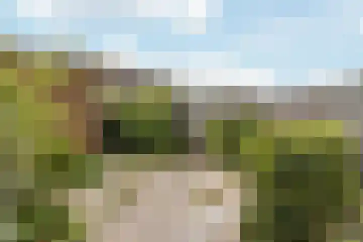 Albers Weer 9 Assendelft thumbnail 9
