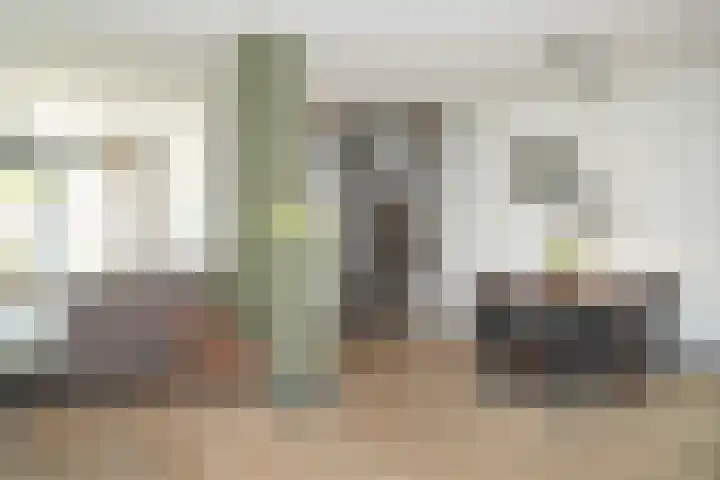 Albert Botslaan 17 Lieshout thumbnail 10