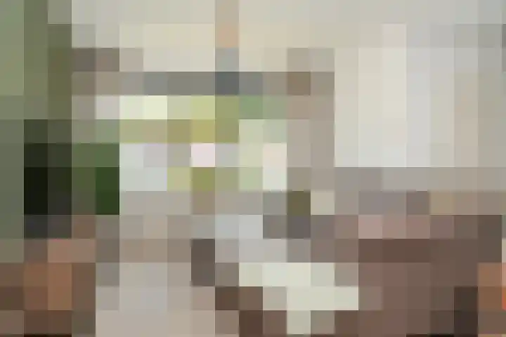Albert Botslaan 17 Lieshout thumbnail 11