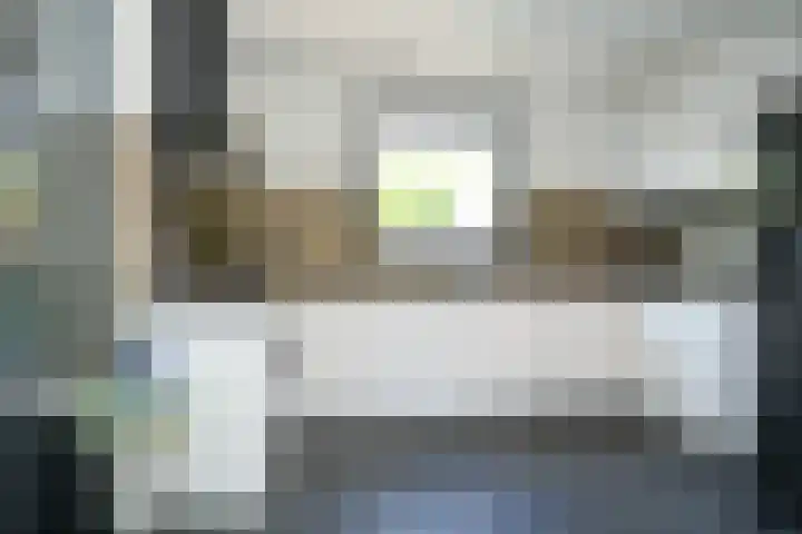 Albert Botslaan 17 Lieshout thumbnail 13