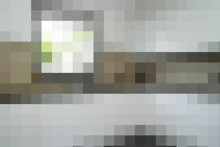 Albert Botslaan 17 Lieshout thumbnail 14