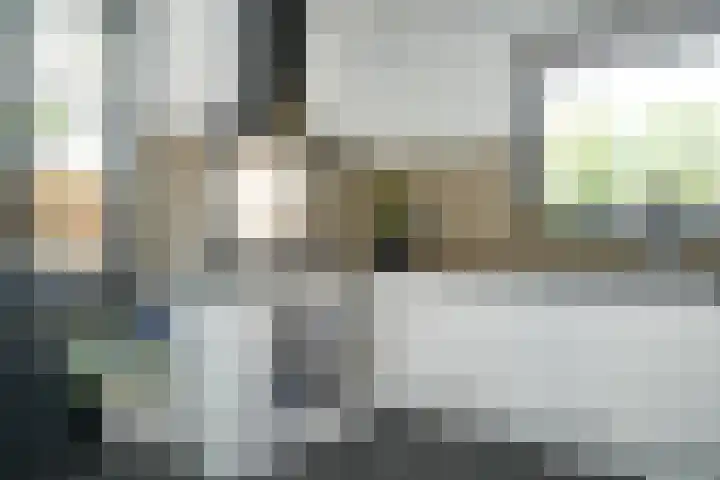 Albert Botslaan 17 Lieshout thumbnail 16