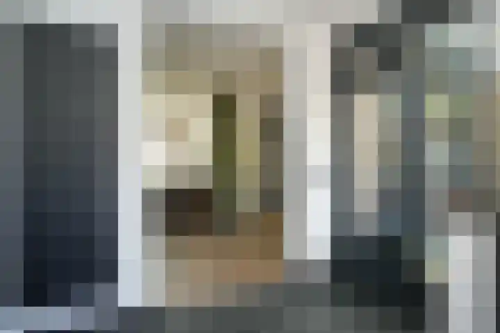 Albert Botslaan 17 Lieshout thumbnail 17