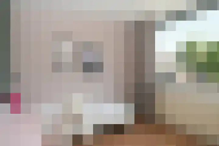 Albert Botslaan 17 Lieshout thumbnail 19