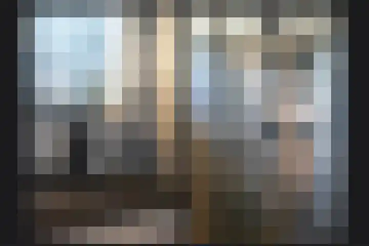 Albert Botslaan 17 Lieshout thumbnail 23