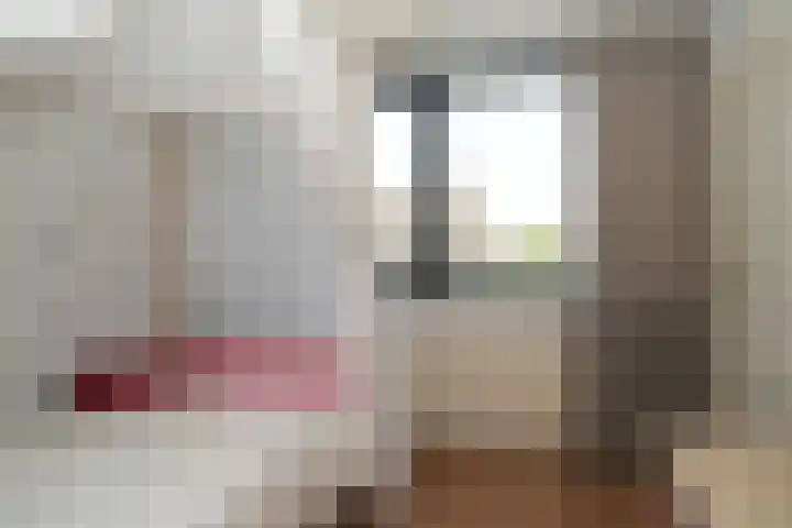 Albert Botslaan 17 Lieshout thumbnail 24
