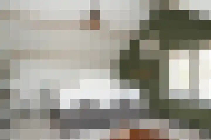 Albert Botslaan 17 Lieshout thumbnail 25