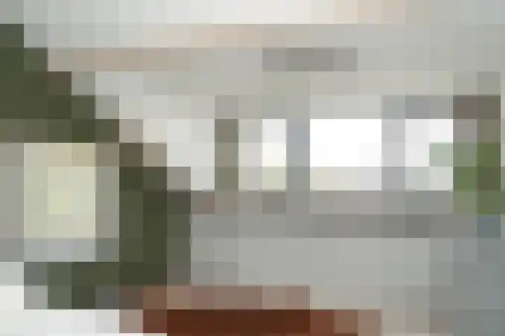 Albert Botslaan 17 Lieshout thumbnail 26