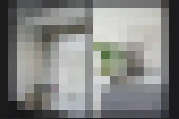 Albert Botslaan 17 Lieshout thumbnail 27