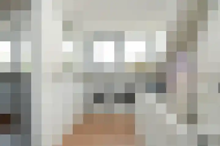 Albert Botslaan 17 Lieshout thumbnail 29