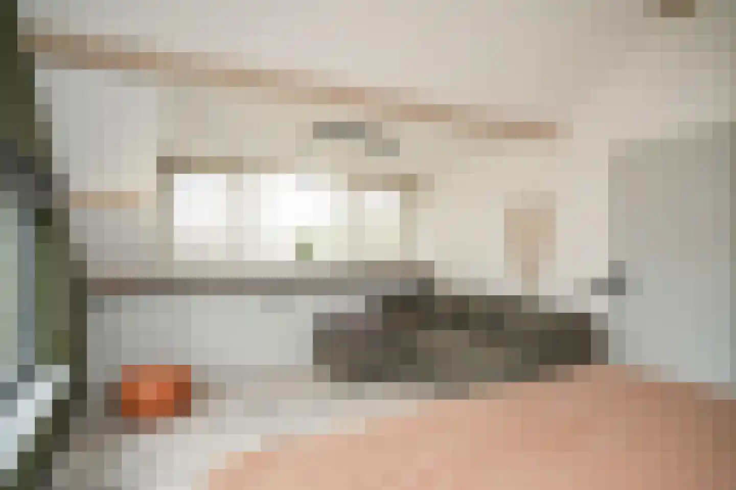 Albert Botslaan 17 Lieshout thumbnail 30