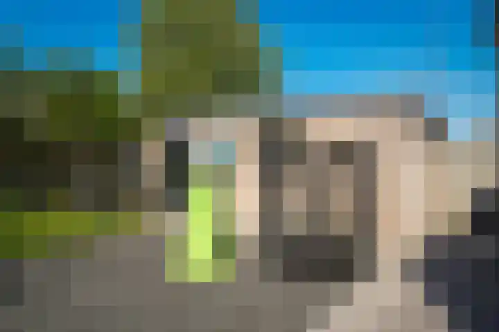 Albert Botslaan 17 Lieshout thumbnail 30