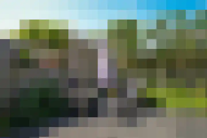 Albert Botslaan 17 Lieshout thumbnail 31