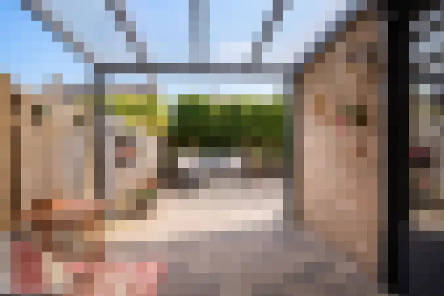 Albert Botslaan 17 Lieshout thumbnail 32