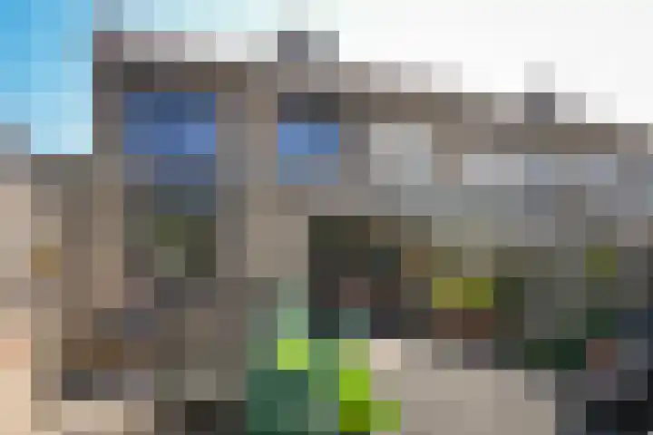 Albert Botslaan 17 Lieshout thumbnail 32
