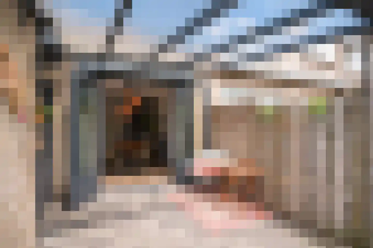 Albert Botslaan 17 Lieshout thumbnail 33