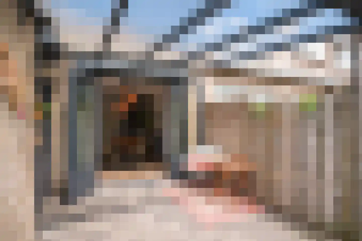 Albert Botslaan 17 Lieshout thumbnail 33