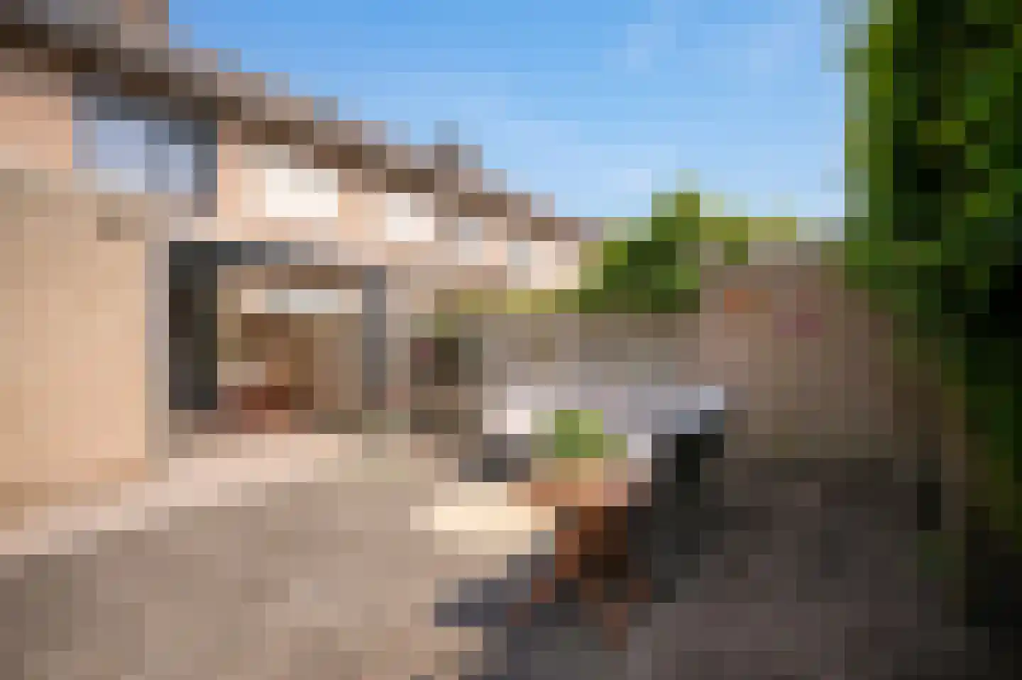 Albert Botslaan 17 Lieshout thumbnail 35