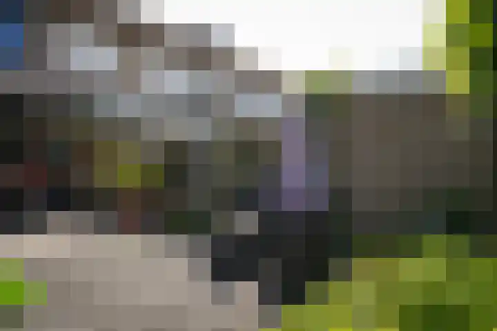 Albert Botslaan 17 Lieshout thumbnail 36