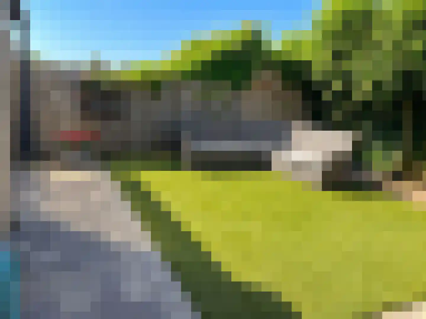 Albert Botslaan 17 Lieshout thumbnail 37
