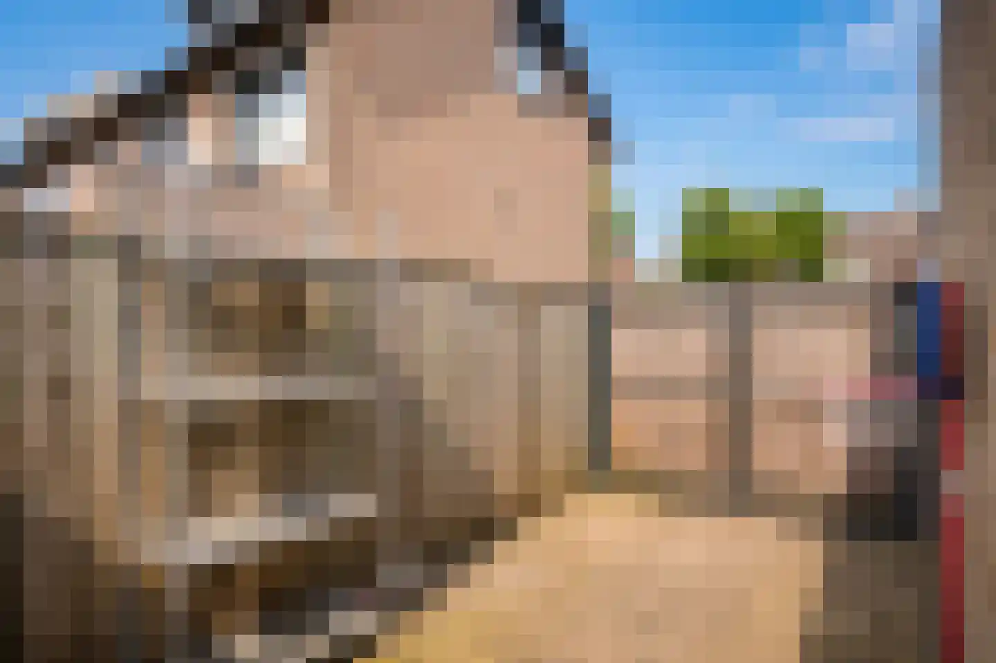 Albert Botslaan 17 Lieshout thumbnail 38