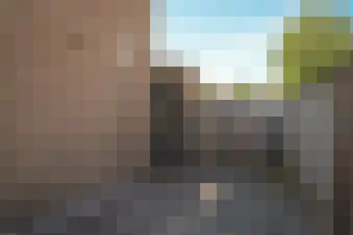 Albert Botslaan 17 Lieshout thumbnail 38