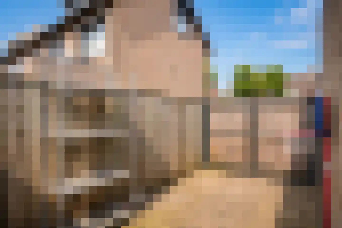 Albert Botslaan 17 Lieshout thumbnail 38