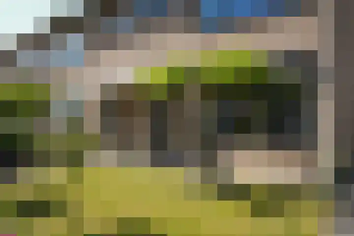 Albert Botslaan 17 Lieshout thumbnail 39