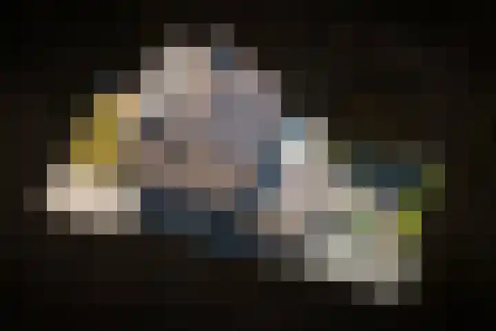 Albert Botslaan 17 Lieshout thumbnail 4