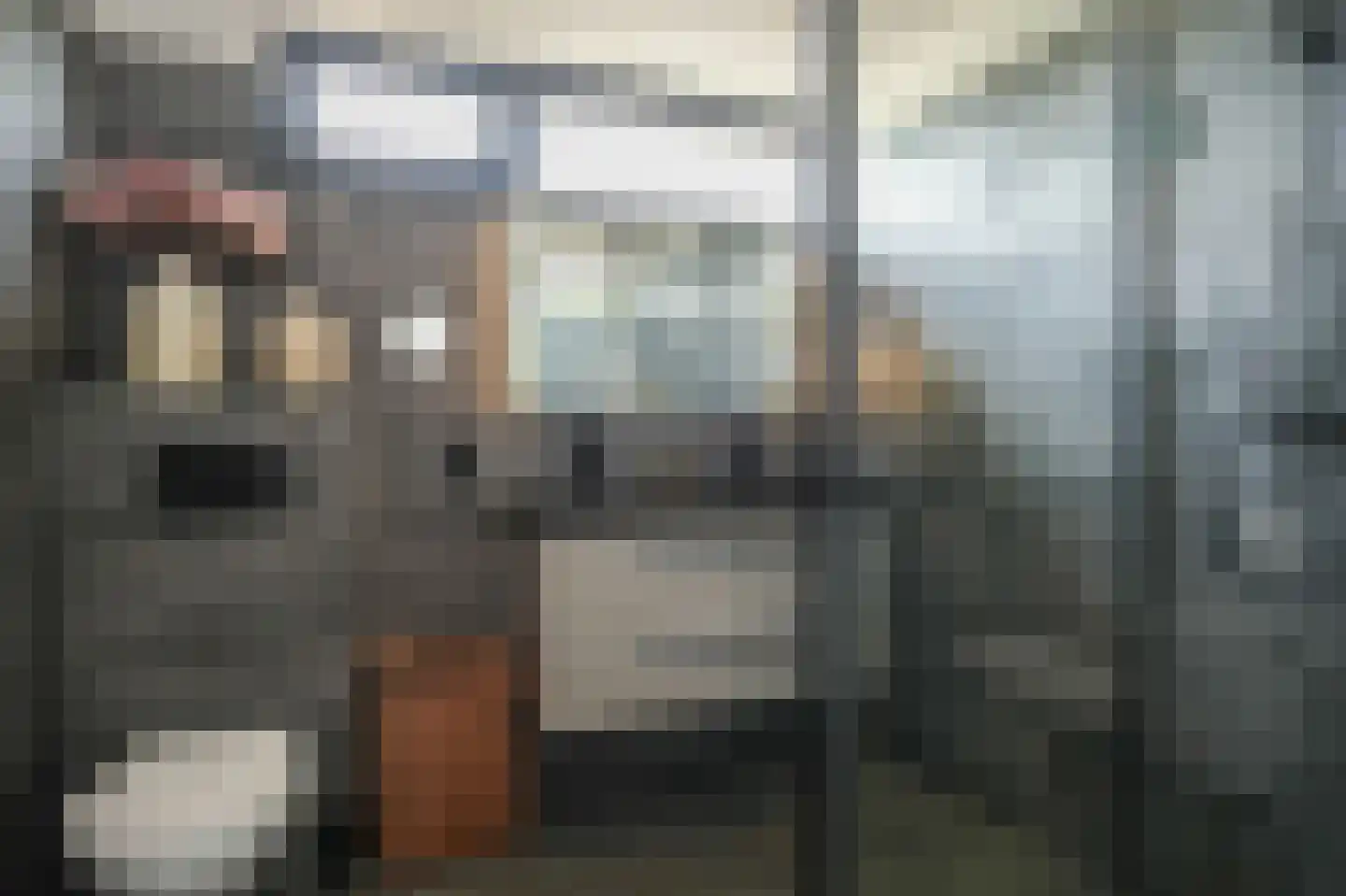 Albert Botslaan 17 Lieshout thumbnail 4