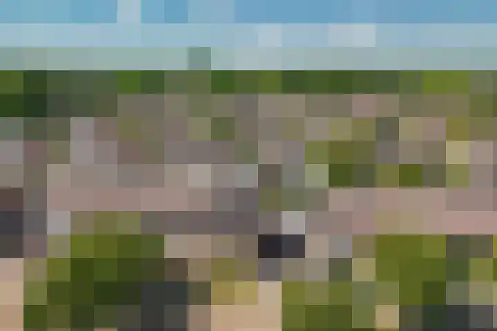 Albert Botslaan 17 Lieshout thumbnail 42