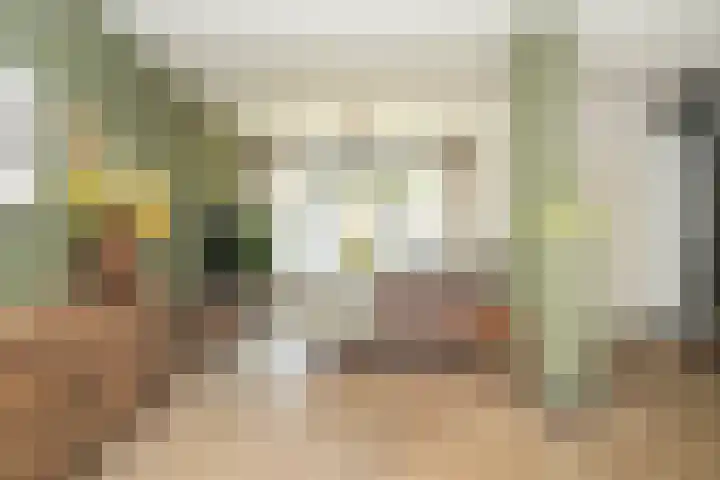 Albert Botslaan 17 Lieshout thumbnail 6