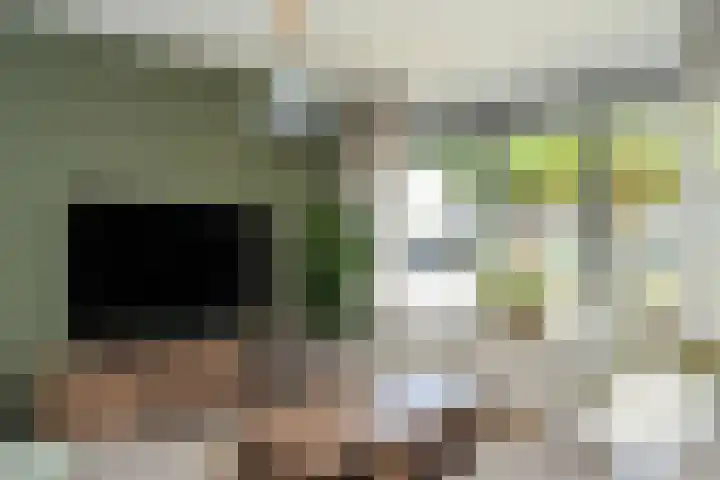 Albert Botslaan 17 Lieshout thumbnail 7